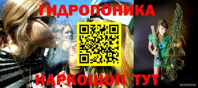 индика Комсомольск-на-Амуре