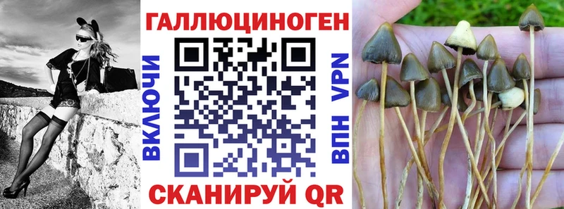 MEGA маркетплейс  Кыштым  Галлюциногенные грибы мухоморы 