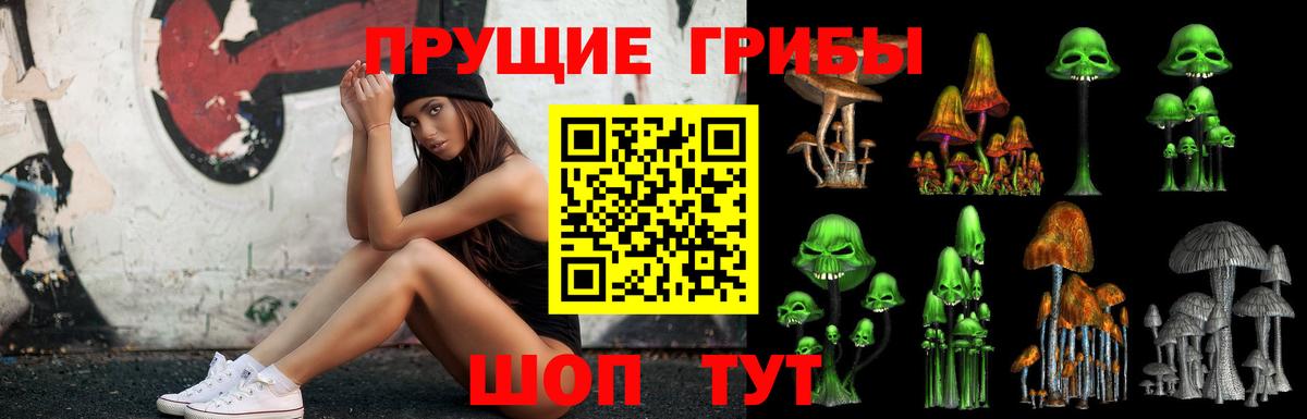Галлюциногенные грибы Psilocybe Кыштым